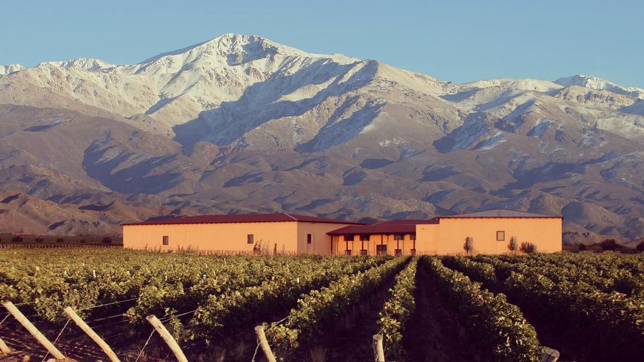 Visit To 3 Wineries With Wine Tasting And Gourmet Lunch (2)