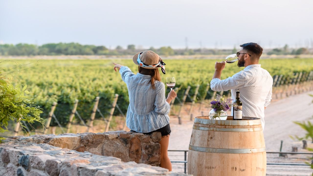 Winery Visit With Wine Tasting (2)