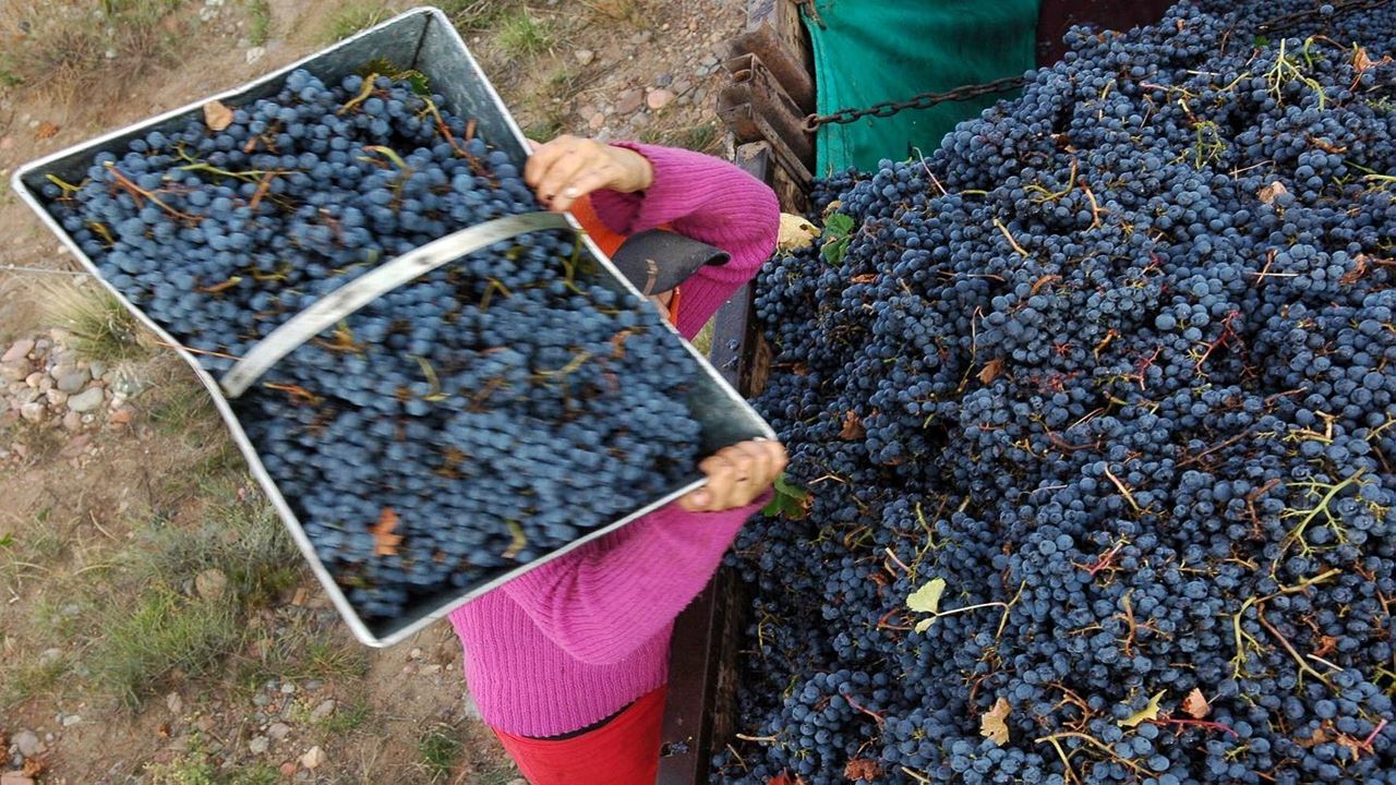 Winery Visit With Wine Tasting (6)