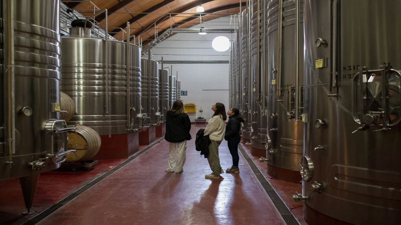 Winery Visit With Wine Tasting (10)