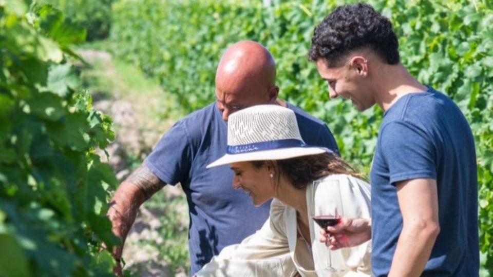 Visita A Bodegas Con Degustacion Y Almuerzo En Maipú foto 6
