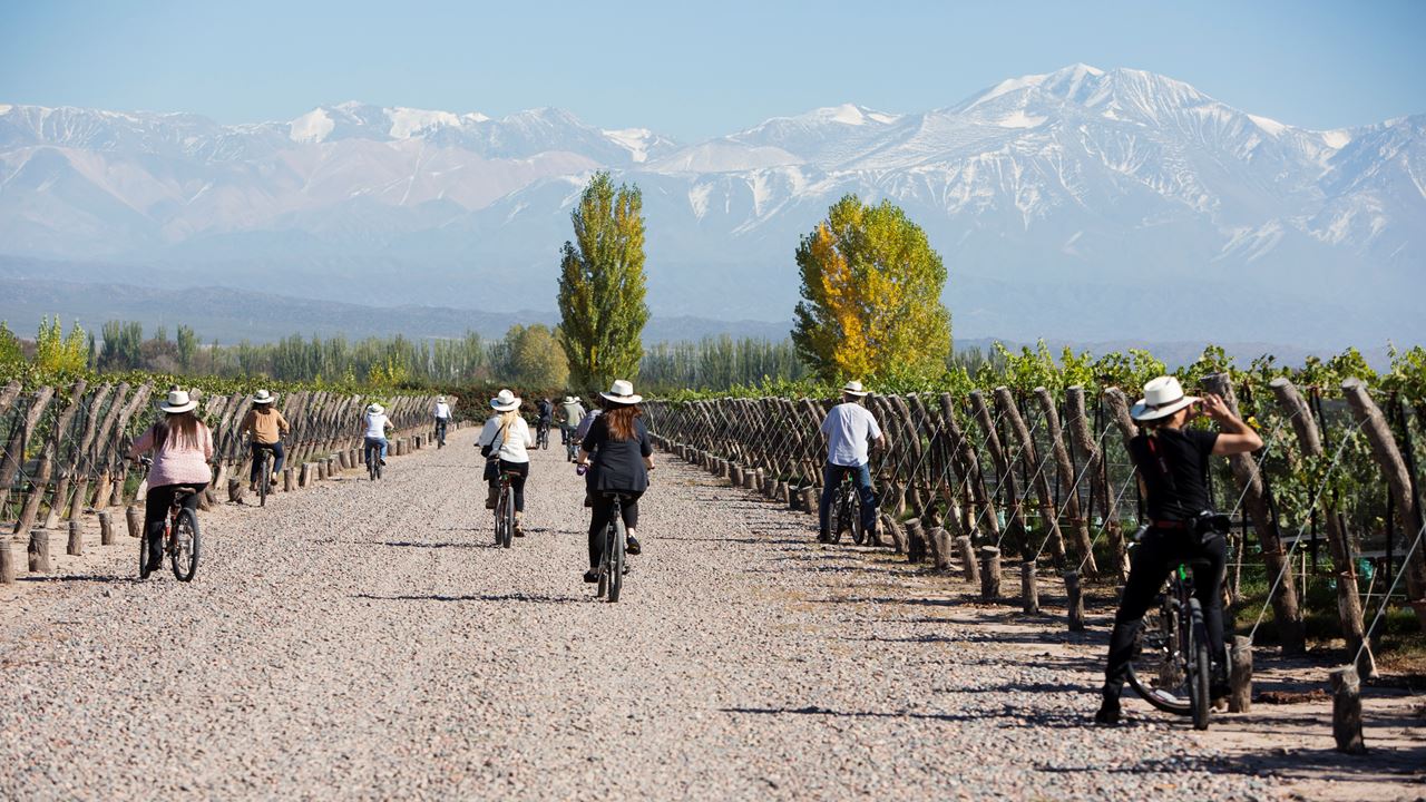 Visit To Wineries And Vineyards By Bicycle (1)