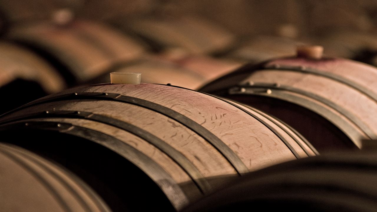 Private Wine Tour In Mendoza (2)