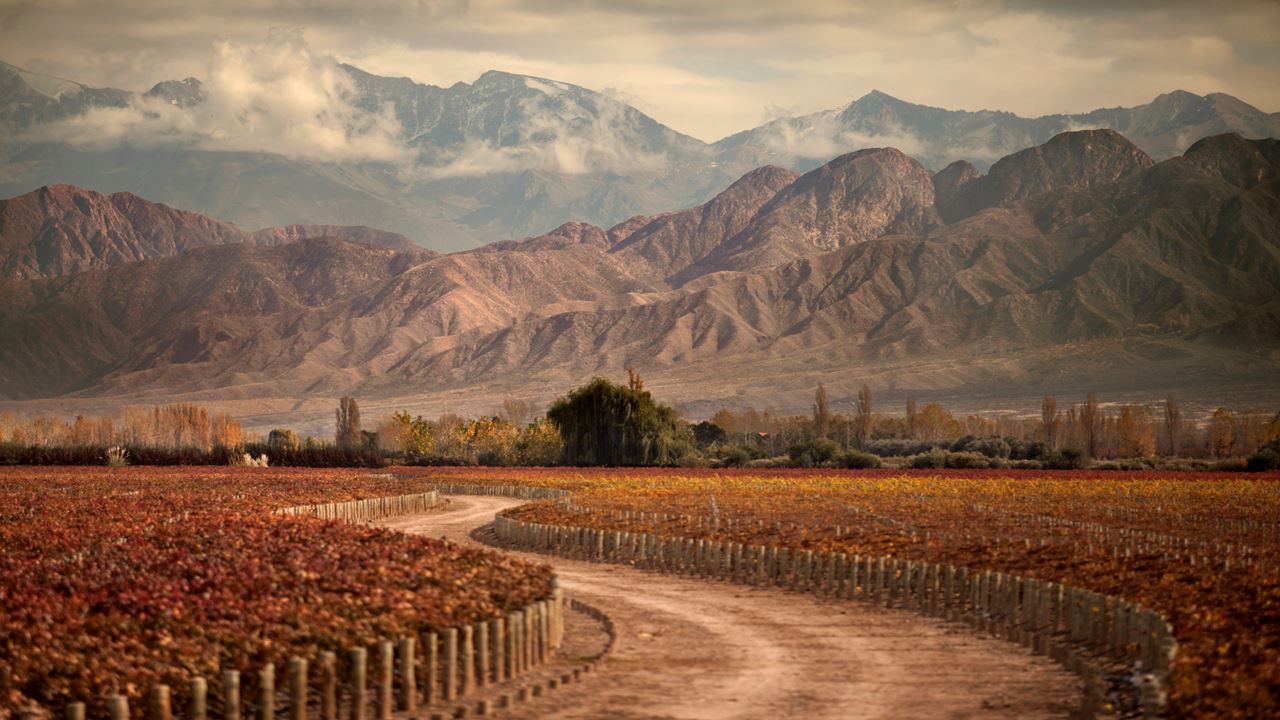 Private Wine Tour In Mendoza (3)