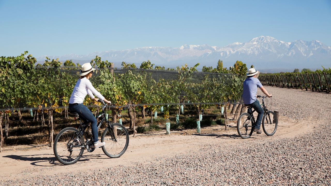 Wineries In Mountain Bike