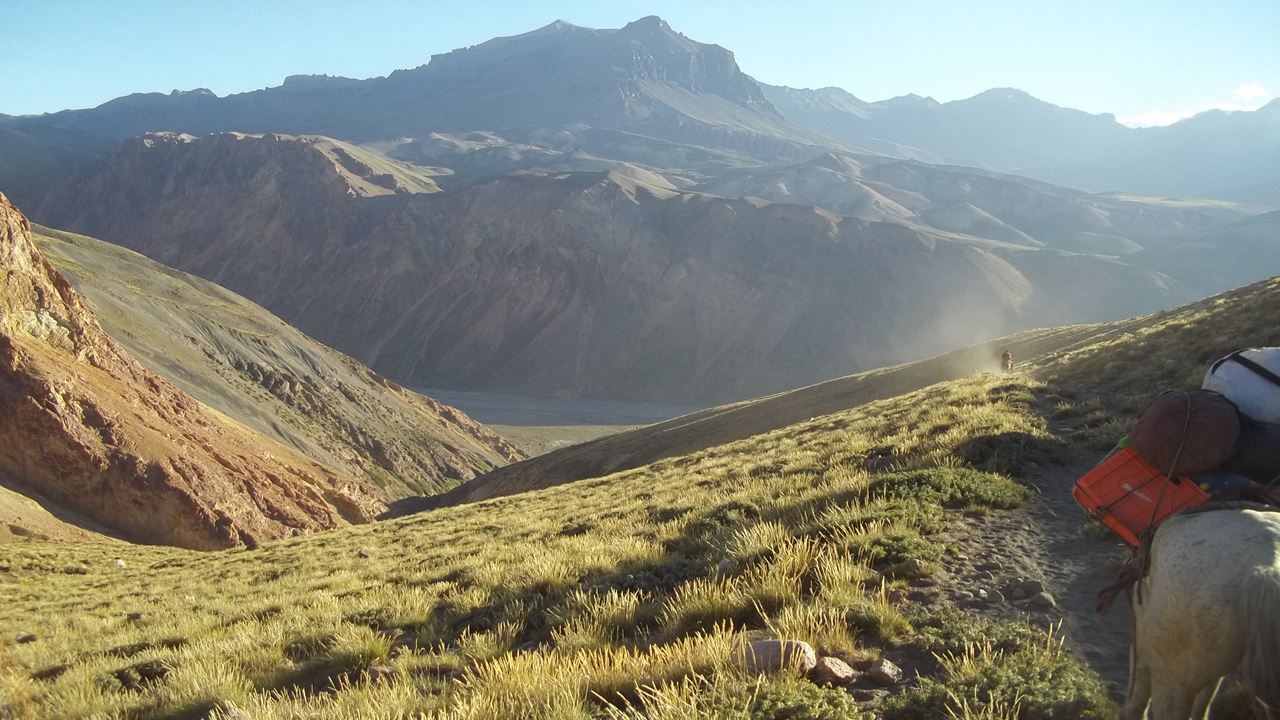 Half-day Horseback Riding In The Andes Mountains From Mendoza