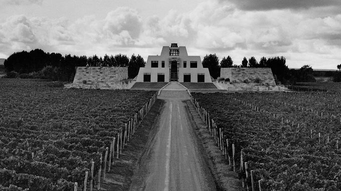 Wine Tasting Experience At "catena Zapata"