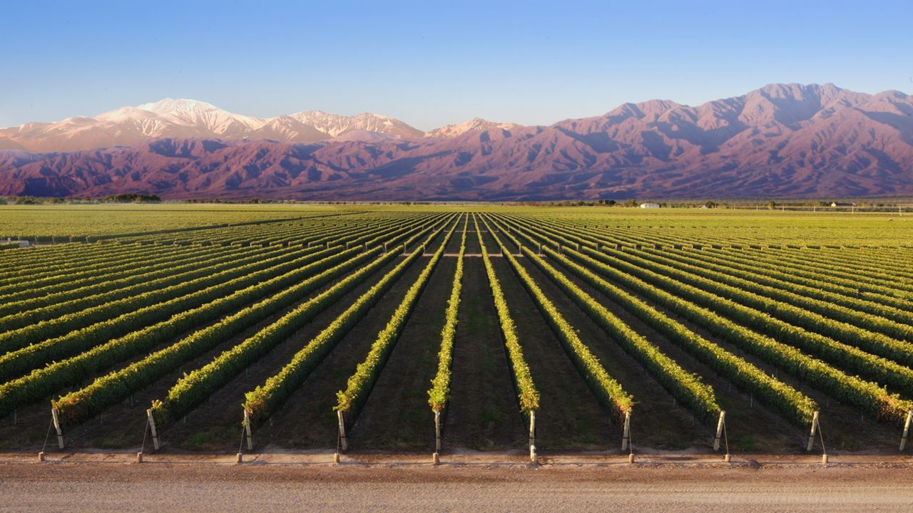 Paquete De Viaje Mendoza Deluxe
