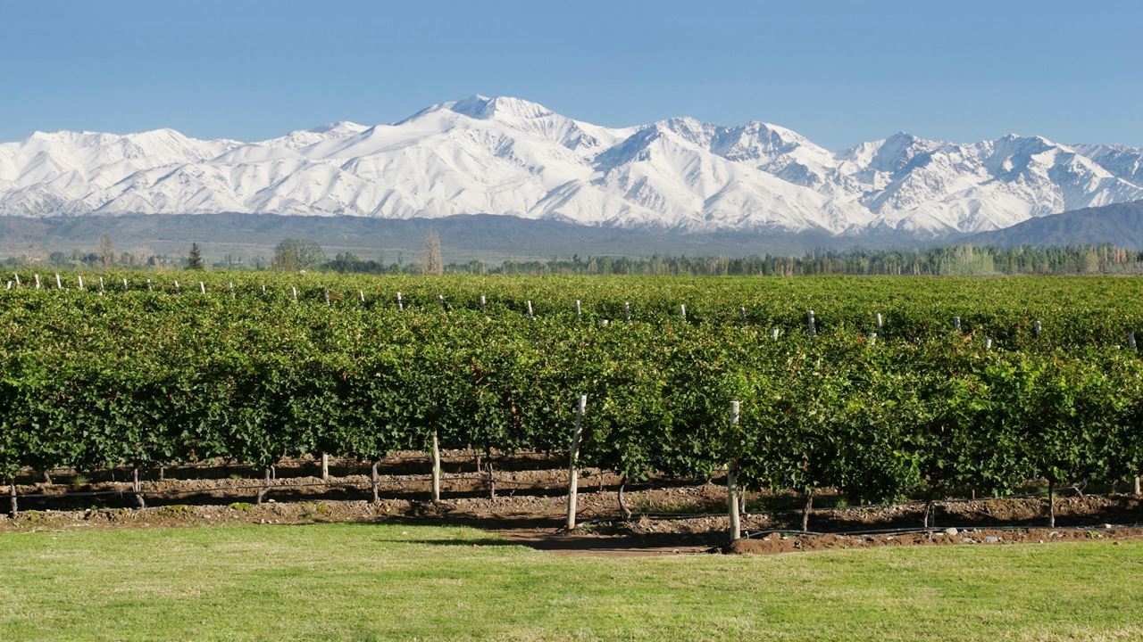 Half Day Wine Tour (Lujan-maipu)