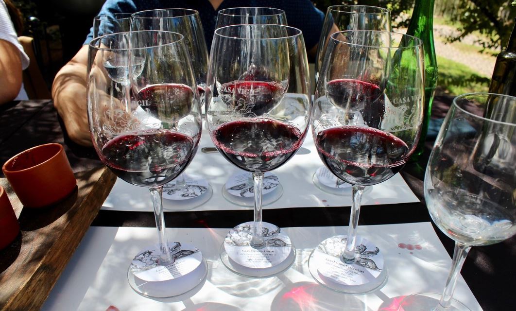 Tour Y Degustación En Bodega Casa Vigil