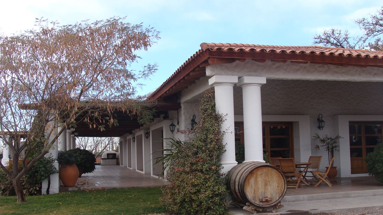Visit To Wineries And Vineyards By Bicycle